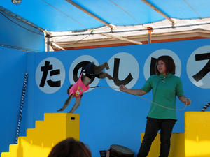 20110815_79shuusei.jpg