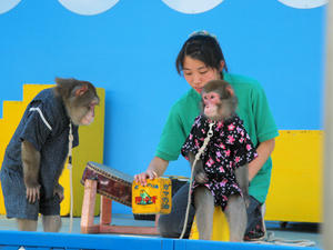 20110815_81shuusei.jpg