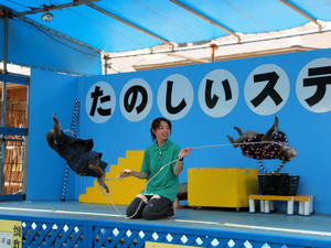 20110815_122shuusei.jpg
