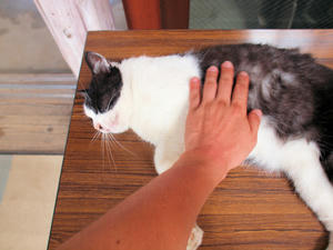 20110815_46shuusei.jpg