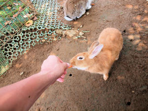 20110815_51shuusei.jpg