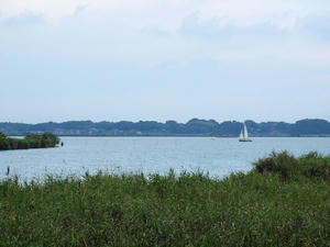 20110815_221shuusei.jpg
