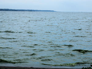 20110815_229shuusei.jpg