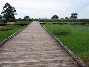 20110815_244shuusei.jpg