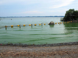 20110815_251shuusei.jpg
