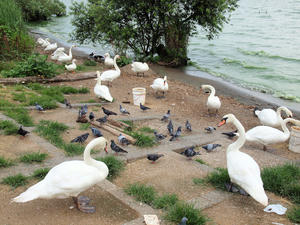 20110815_254shuusei.jpg