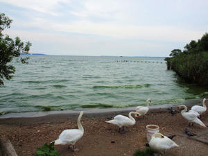20110815_260shuusei.jpg