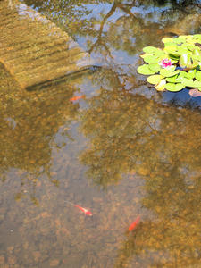 20110815_312shuusei.jpg