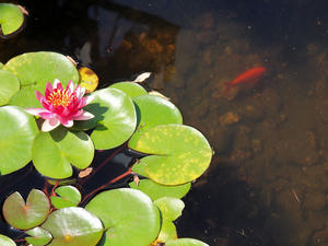 20110815_314shuusei.jpg