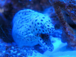 20110815_474shuusei.jpg