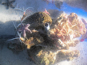 20110815_477shuusei.jpg