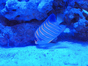 20110815_488shuusaei.jpg