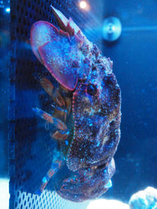 20110815_500shuusei.jpg