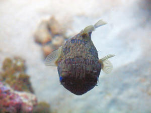 20110815_769shuusei.jpg