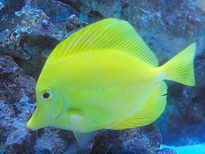 20110815_777shuusei.jpg