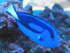 20110815_778shuusei.jpg