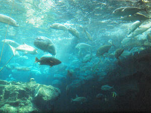 20110815_787shuusei.jpg
