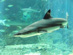 20110815_809shuusei.jpg