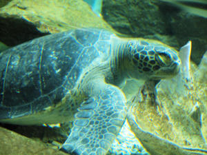 20110815_467shuusei.jpg