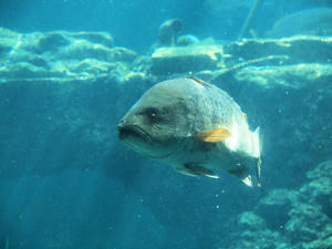 20110815_383shuusei.jpg