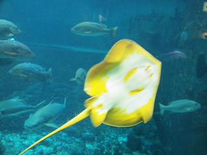 20110815_388shuusei.jpg