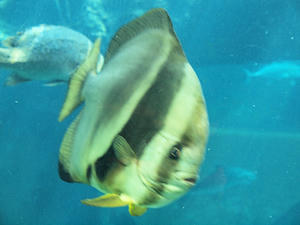 20110815_390shuusei.jpg