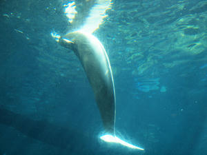 20110815_393shuusei.jpg