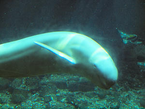 20110815_395shuusei.jpg