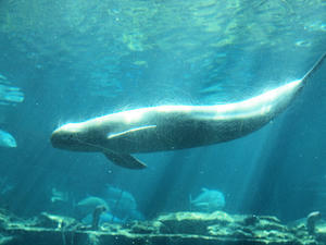 20110815_405shuusei.jpg
