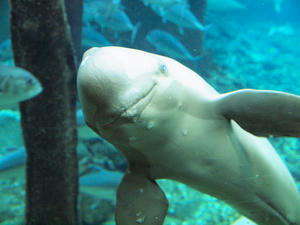 20110815_450shuusei.jpg
