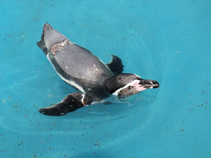 20110815_517shuusei.jpg
