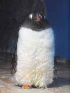 20110815_810shuusei.jpg