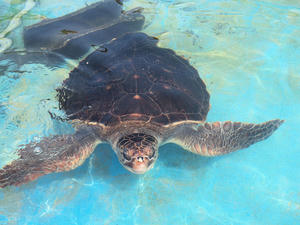 20110815_525shuusei.jpg