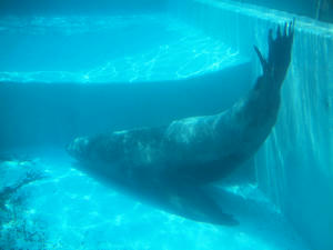 20110815_566shuusei.jpg