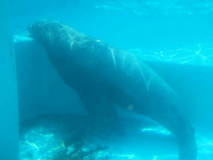 20110815_572shuusei.jpg