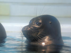 20110815_565shuusei.jpg