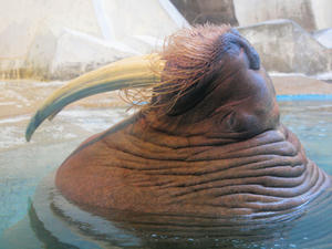 20110815_752shuusei.jpg
