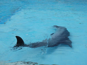 20110815_536shuusei.jpg