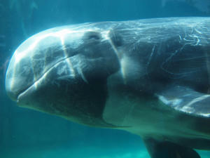 20111011_6shuusei.jpg