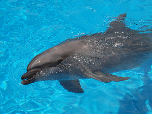 20110815_742shuusei.jpg