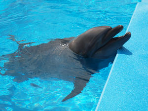 20110815_741shuusei.jpg