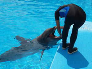 20110815_740shuusei.jpg