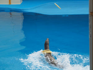 20110815_601shuusei.jpg