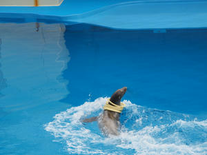 20110815_602shuusei.jpg