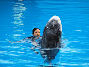 20110815_639shuusei.jpg