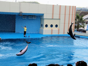 20110815_653shuusei.jpg