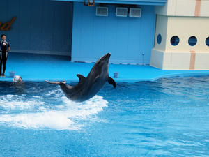 20110815_657shuusei.jpg