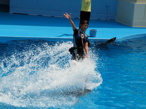 20110815_724shuusei.jpg