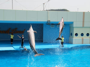 20110815_730shuusei.jpg