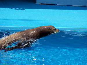 20111011_51shuusei.jpg